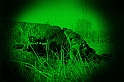 Zap_Soft_Night